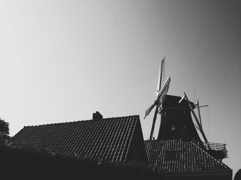 windmill